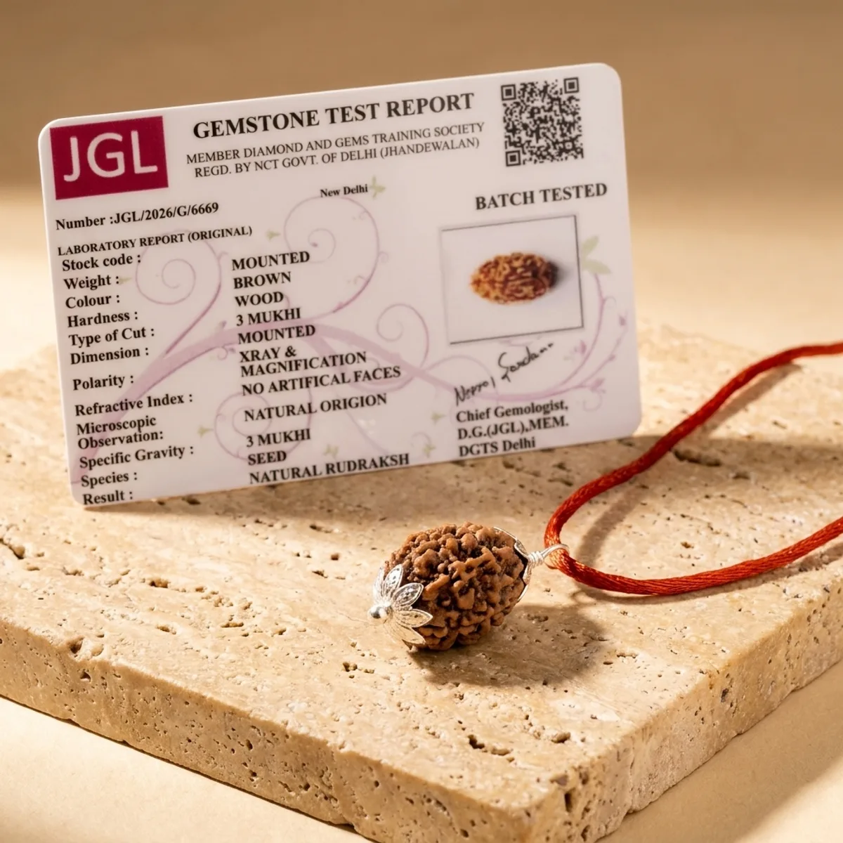 3 Mukhi Nepali Rudraksh — photo 1