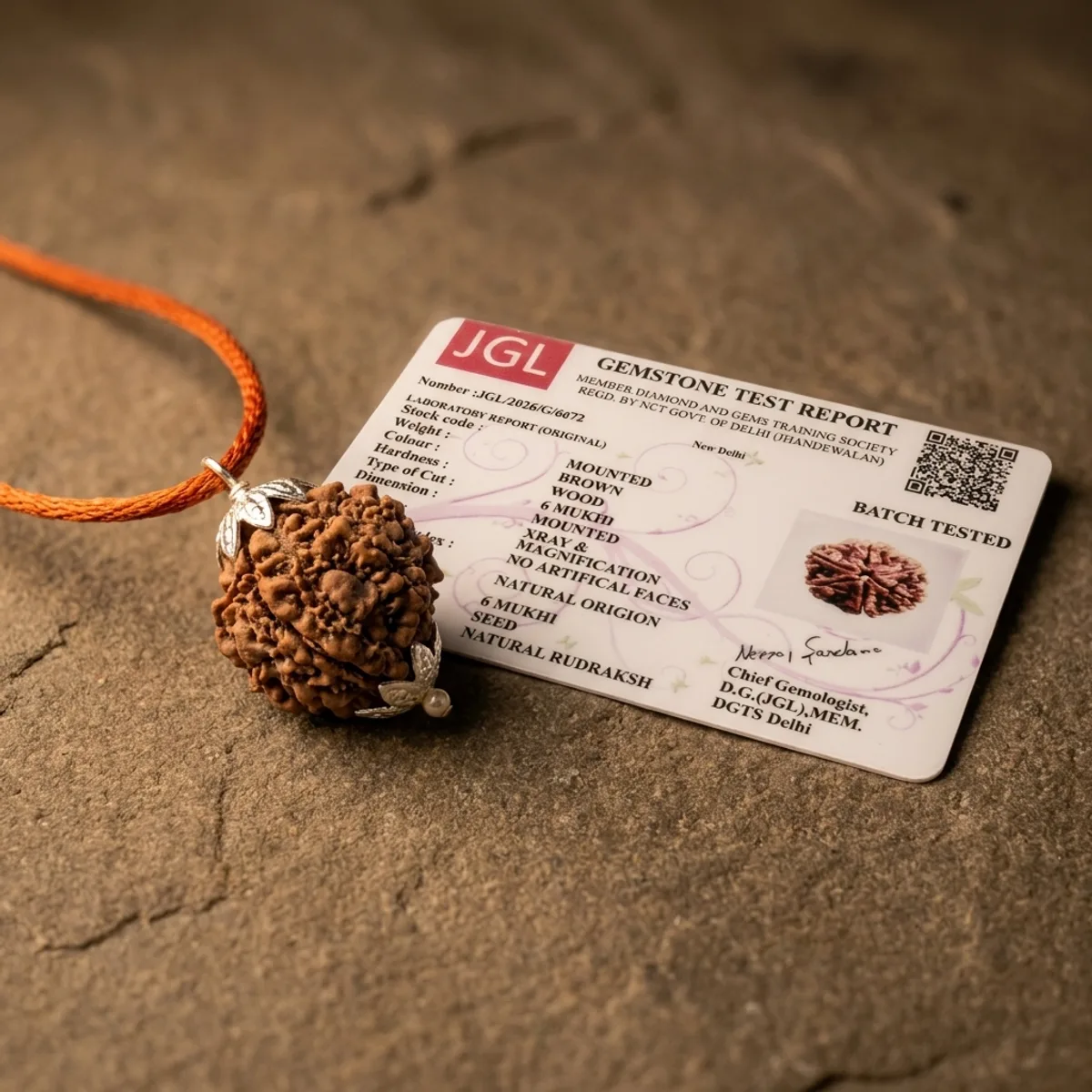 6 Mukhi Nepali Rudraksha Original — photo 1