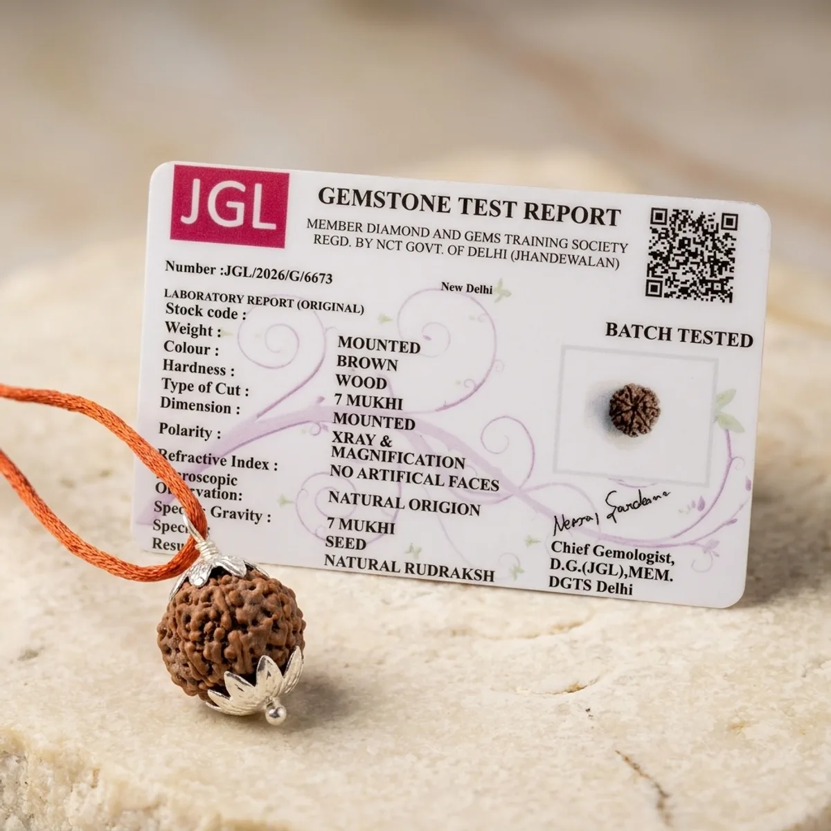 7 Mukhi Nepali Rudraksh 