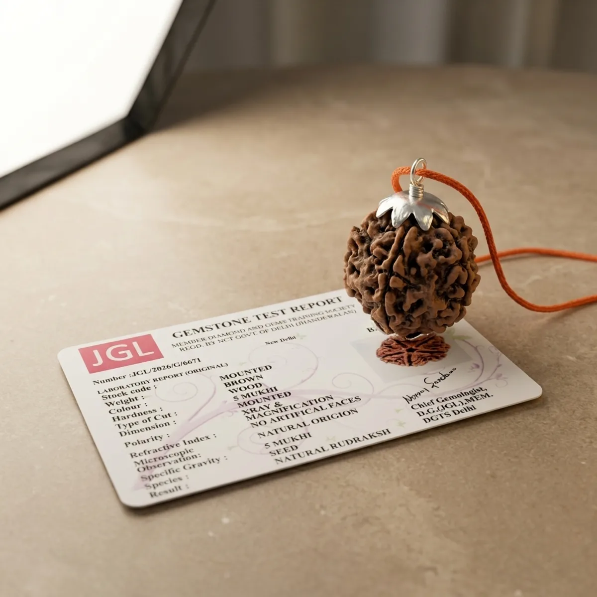 5 Mukhi Nepali Rudraksha — photo 1